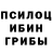 Галлюциногенные грибы Psilocybine cubensis Cecilia Lisboa