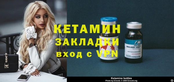 прущие грибы Бородино