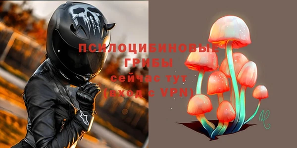 а пвп мука Верея