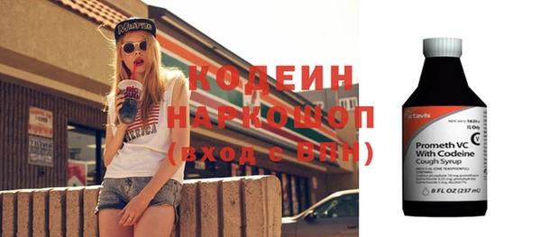 прущие грибы Бородино