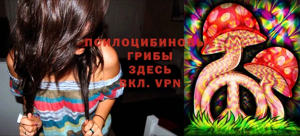 прущие грибы Бородино