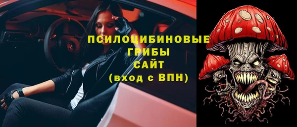 прущие грибы Бородино